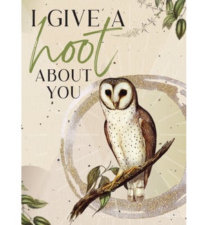 BD/Give a Hoot