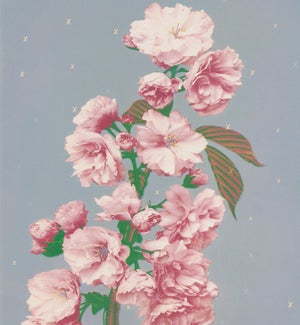 ENC/Botanic