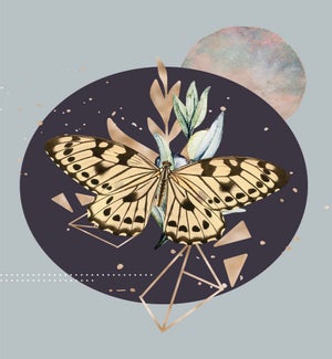 ENC/Fascination