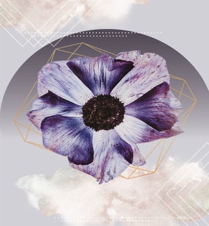 ENC/Reverie