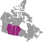Alberta, Saskatchewan, Manitoba