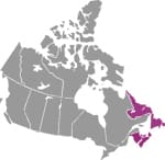 Maritimes