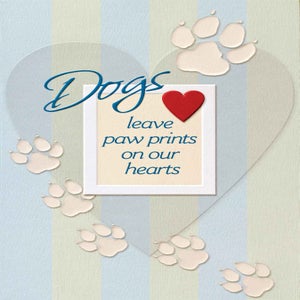 Pet Sympathy