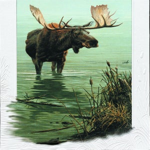Greeting Cards