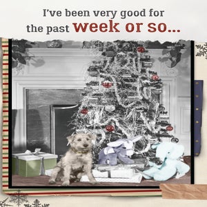 Greeting Cards