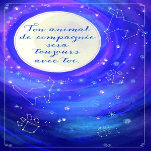 Pet Sympathy Sympathie Animaux