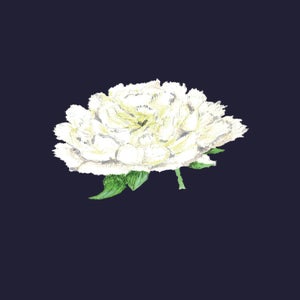 Sympathy