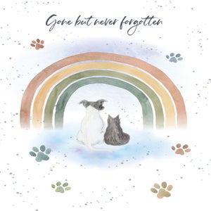 Pet Sympathy