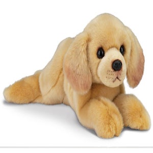 Friends-Dogs