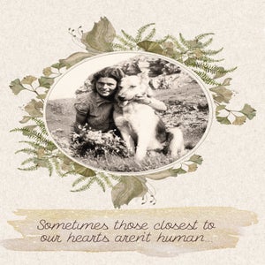 Pet Sympathy