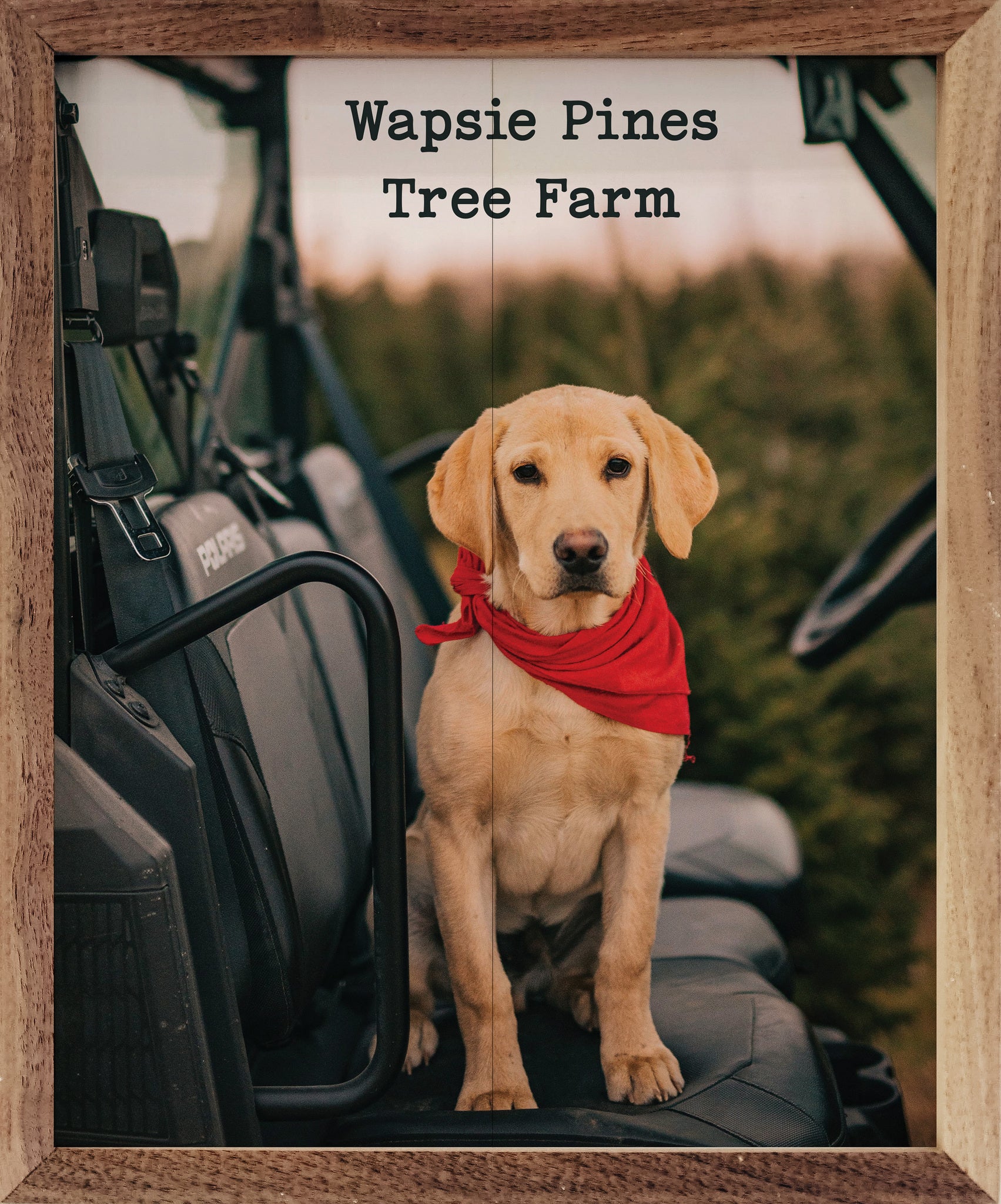 Wapsie Pines Tree Farm - wapsie pines tree farm | Kendrick Home